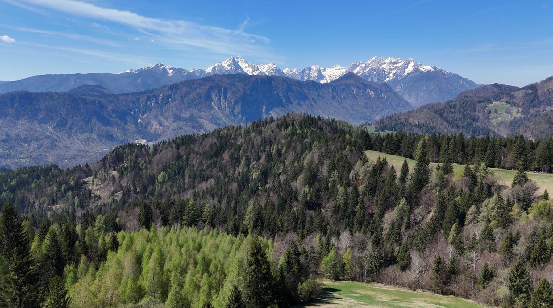 Span Cottage Jesenice Kültér fotó